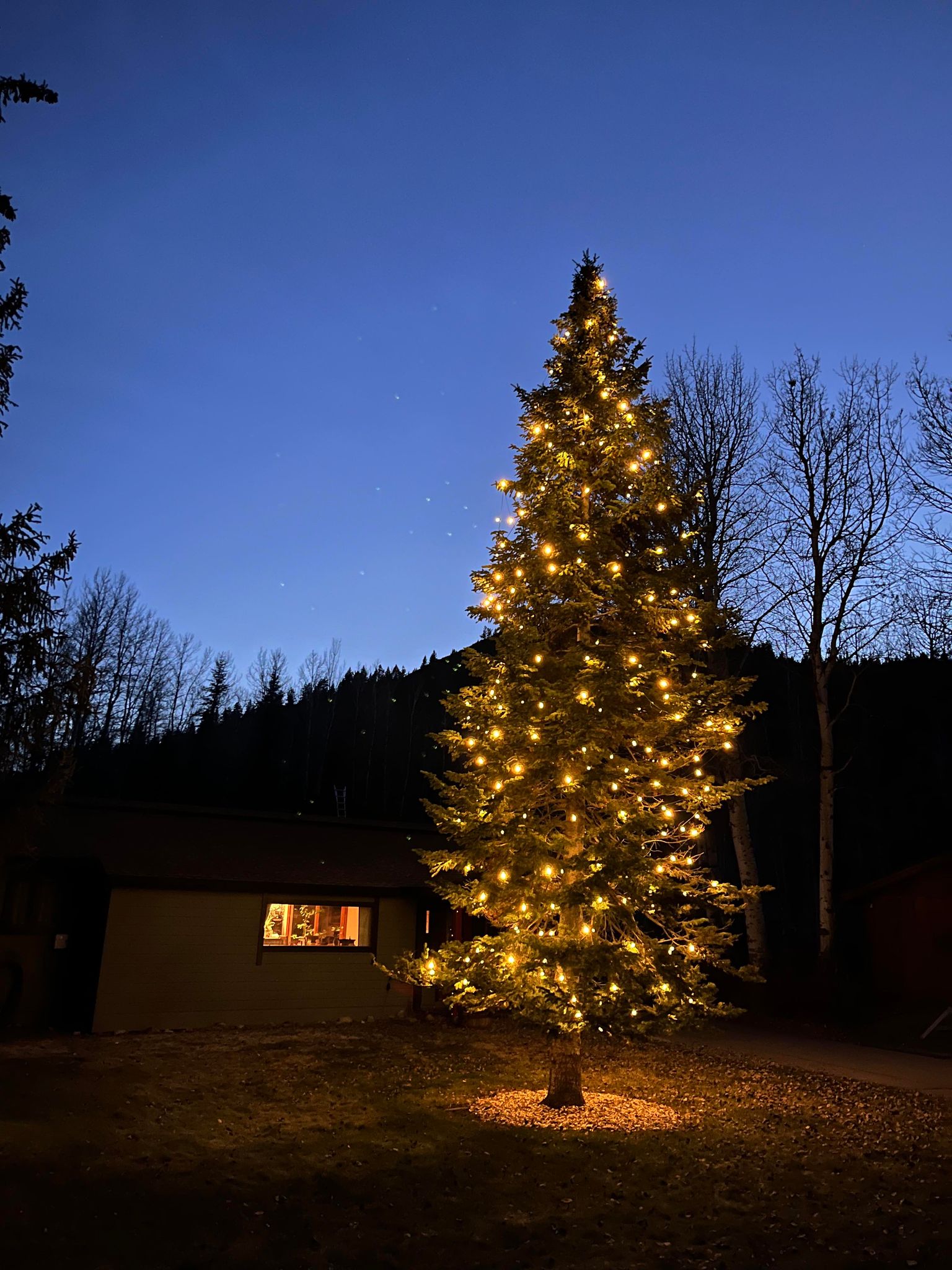 Galena Holiday Lighting